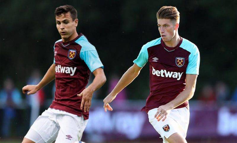 引进和培养 引进和培养